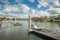 Property photo of 2152 Beaufort Way Hope Island QLD 4212