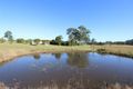 Property photo of 159 Torryburn Road Torryburn NSW 2421