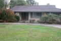 Property photo of 101 Albert Avenue Boronia VIC 3155