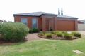 Property photo of 23 Boyd Avenue Shepparton VIC 3630