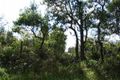 Property photo of 4 Vineys Lane Dural NSW 2158