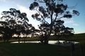 Property photo of 59 Burdon Road Moppa SA 5355