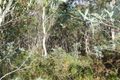 Property photo of 1 Irish Town Road St Marys TAS 7215