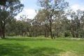 Property photo of 45 Rules Road Young NSW 2594