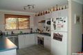 Property photo of 9 Augusta Close Watanobbi NSW 2259