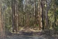Property photo of 13 Kiora Street Pindimar NSW 2324