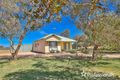 Property photo of 76 Euston Avenue Irymple VIC 3498
