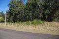 Property photo of 20 Rainforest Drive Mitchells Island NSW 2430