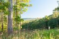 Property photo of 99 Kocho Road Image Flat QLD 4560