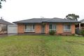 Property photo of 41 Tasman Avenue Gilles Plains SA 5086