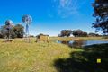Property photo of 3672 Munbinea Road Nambung WA 6521