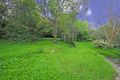 Property photo of 222 Ryde Road West Pymble NSW 2073