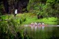 Property photo of 1129-1135 Riverway Drive Rasmussen QLD 4815