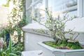 Property photo of 2 George Street Marrickville NSW 2204