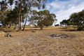 Property photo of 3 Mewett Court Williamstown SA 5351