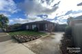 Property photo of 53 Sutherland Avenue Shepparton VIC 3630
