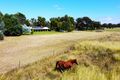 Property photo of 143 Jacks Creek Road Narrabri NSW 2390