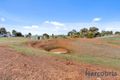 Property photo of 729 Eudunda Road Dutton SA 5356