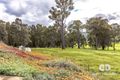 Property photo of 168 Nioka Drive Glen Mervyn WA 6239