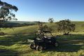 Property photo of 4684 Balaklava Road Auburn SA 5451