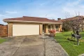Property photo of 113 Mansfield Street Berwick VIC 3806