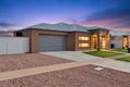 Property photo of 41 Verdi Boulevard Irymple VIC 3498