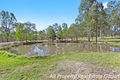 Property photo of 169 Old Toowoomba Road Placid Hills QLD 4343