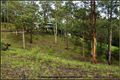Property photo of 196 Tarata Road Guanaba QLD 4210