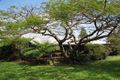 Property photo of 62 Taylors Road Eureka NSW 2480
