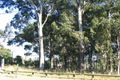 Property photo of Molonglo Road Seven Hills NSW 2147