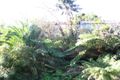 Property photo of 30 Kanimbla Crescent Bilgola Plateau NSW 2107