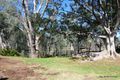 Property photo of 3 Berry Street Moama NSW 2731