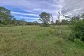 Property photo of 821 Jiggi Road Jiggi NSW 2480