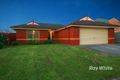 Property photo of 33 Carboni Crescent Lynbrook VIC 3975