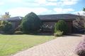 Property photo of 33 Kurrajong Street Red Cliffs VIC 3496