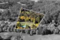 Property photo of 55 Factory Road Callignee VIC 3844