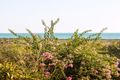 Property photo of LOT 23 Lawrence Road Waterbank WA 6725