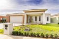Property photo of 81 Vaughan Chase Wyndham Vale VIC 3024