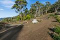 Property photo of 74 Blowhole Road Eaglehawk Neck TAS 7179