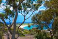 Property photo of 19 The Crescent Dee Why NSW 2099