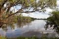 Property photo of 14 Carbone Court Buronga NSW 2739