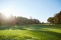 Property photo of 3014D/67 Wilson Street Botany NSW 2019