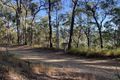 Property photo of 44 Yarrayne Road Nerang QLD 4211