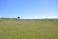 Property photo of 7 Avery Lane Cliftleigh NSW 2321