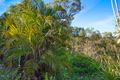 Property photo of 405 Davies Road Captain Creek QLD 4677