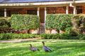 Property photo of 78 Forgan Road Joyner QLD 4500