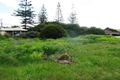 Property photo of 38 Singleton Beach Road Singleton WA 6175