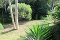 Property photo of 28 The Grove Nelly Bay QLD 4819
