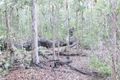 Property photo of 289 Mount Mulgowie Road Buaraba QLD 4311