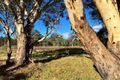 Property photo of 149 Barbigal Street Elong Elong NSW 2831